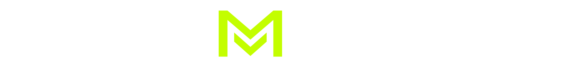 vm logo